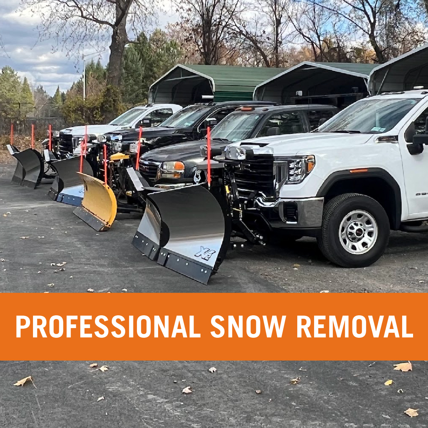 Professional Snow Removal